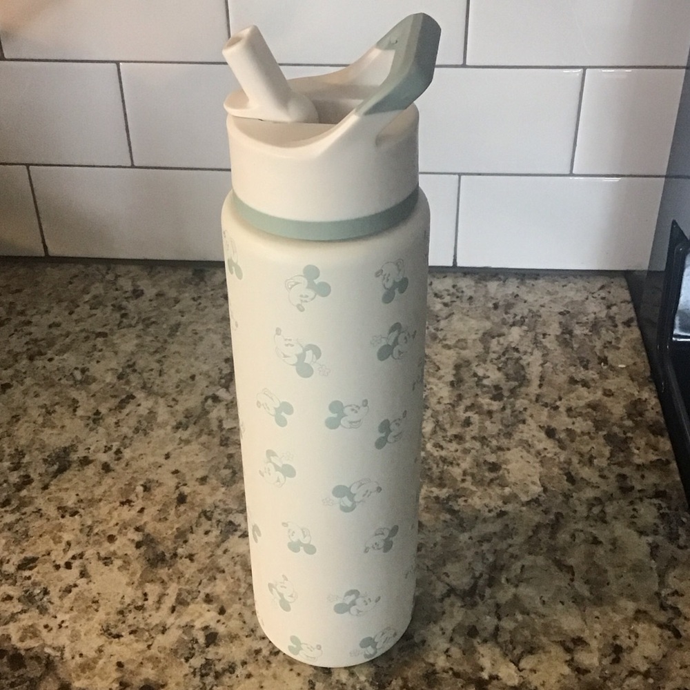 Mickey Mouse Patterned Water Bottle 30 oz. - Pastel Green EUC (A10)